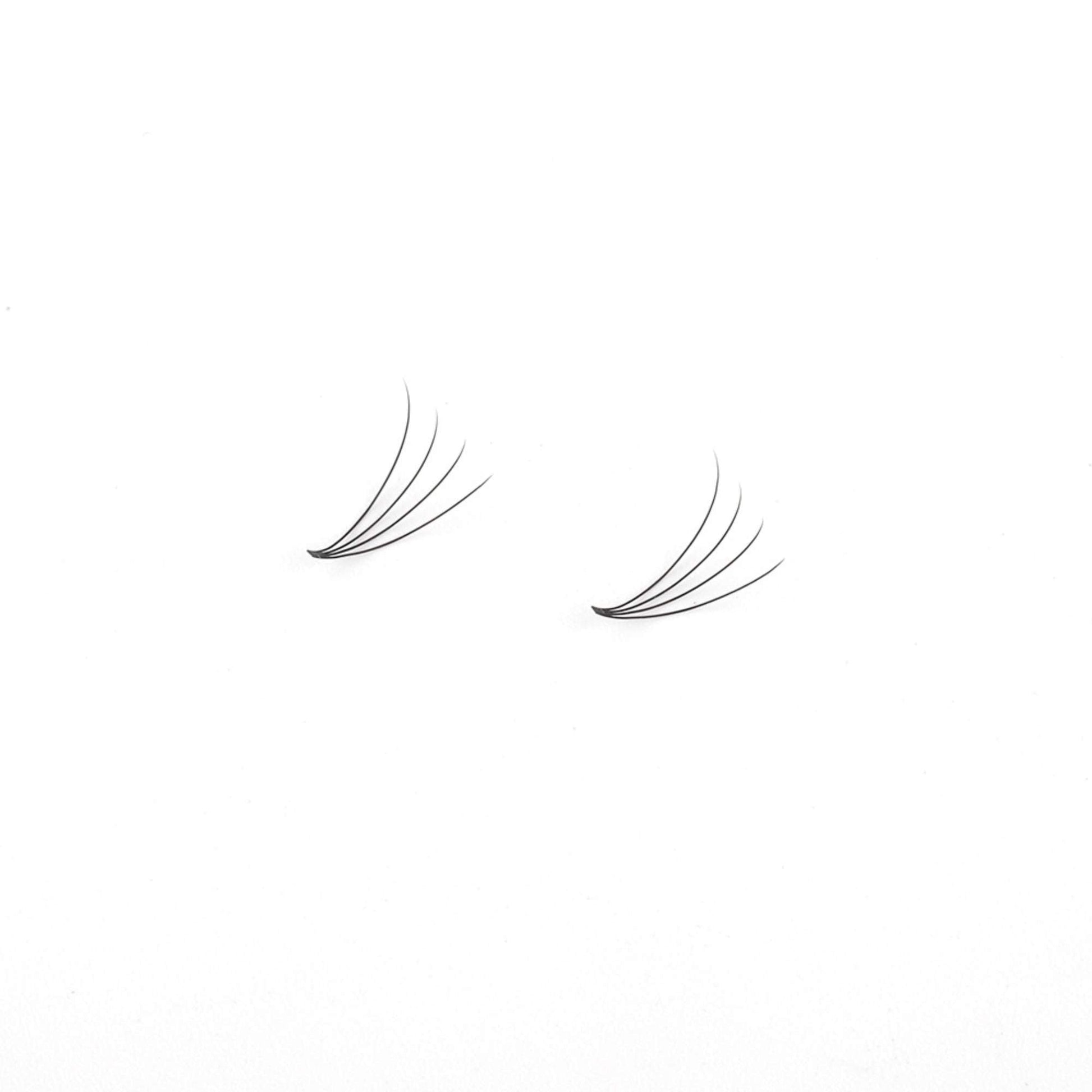 Miosh Eyelash Extensions - XL 4D Premade Volume Short Stem Lash 0.10 / D CURL