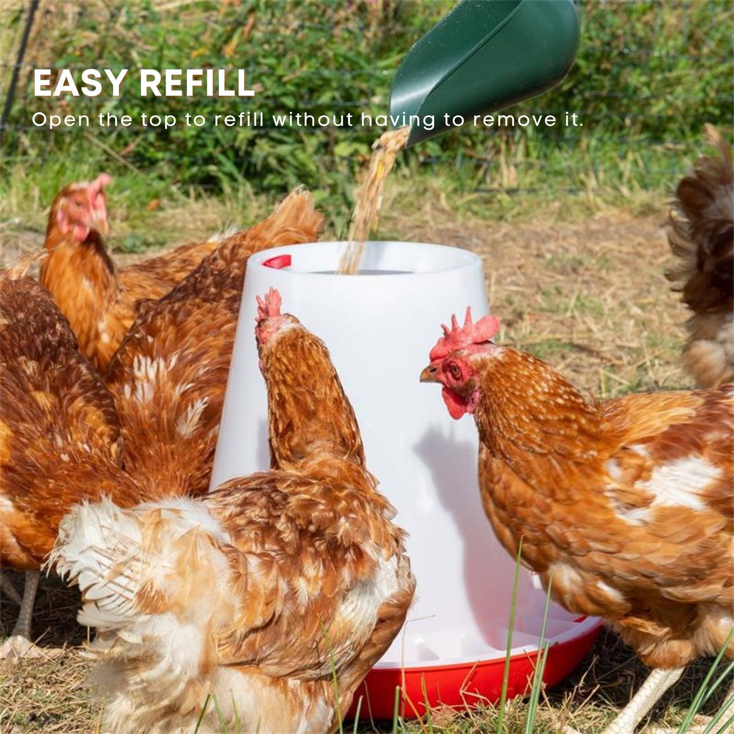 Rooster Farms 1.5Kg Automatic Chicken Feeder - Poultry Hen Feeding Seed Bucket
