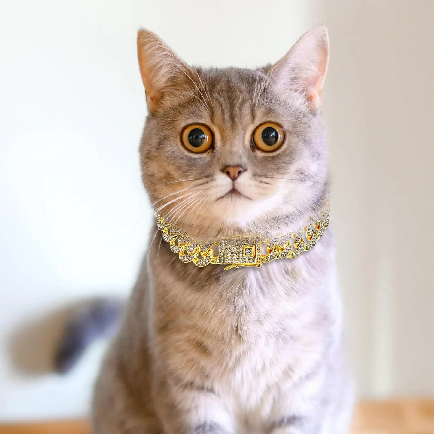 Chain Collar for Dog Diamond Cuban Link Dog Collar 13mm Wide Pet Cuban Style Collar Metal Cat Chain Pet Crystal Collar Jewelry Accessories for Small Medium Large Dogs Cats (10 Inch, Gold)