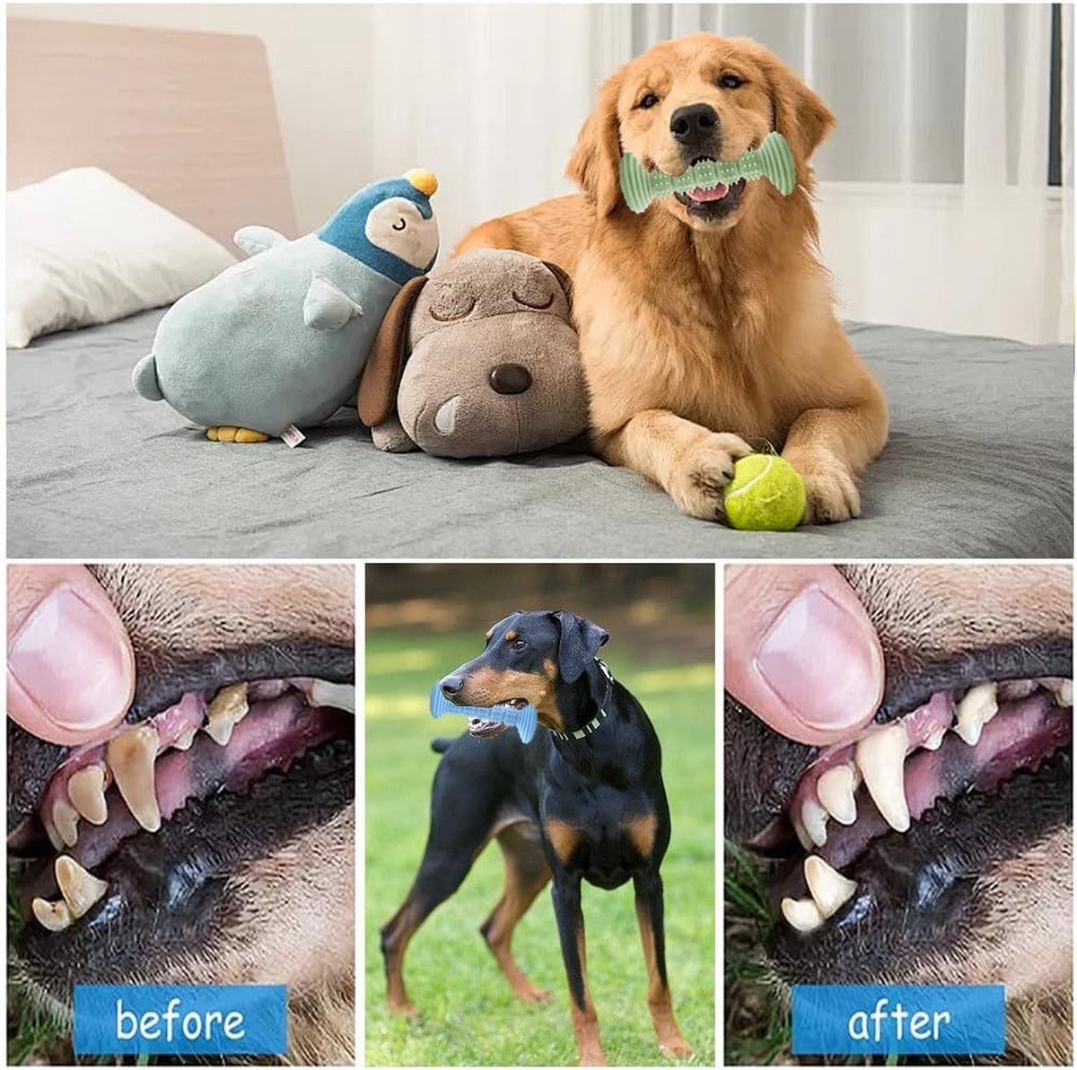 Dog Toys - 3 Pieces - Dog Chew Toys - Dental Care - Teeth Cleaning - Rubber Pet Chew Toys - For Medium and Large Dogs - Blue+Green+Pink