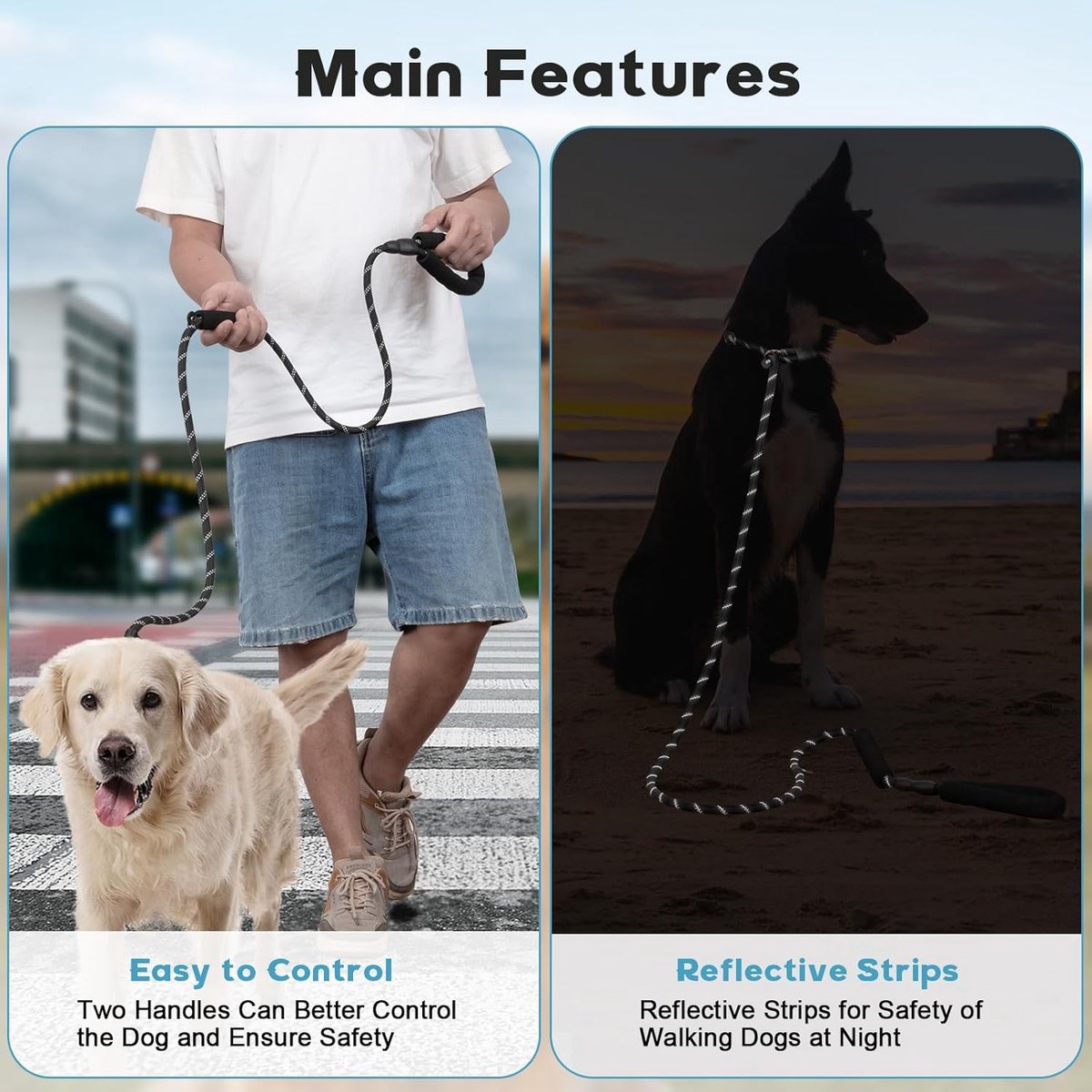 1.8m Long Dog Training Leash - Durable, tension-free polyester dog leash with two padded handles and reflective thread - For small and medium-sized dogs - Black