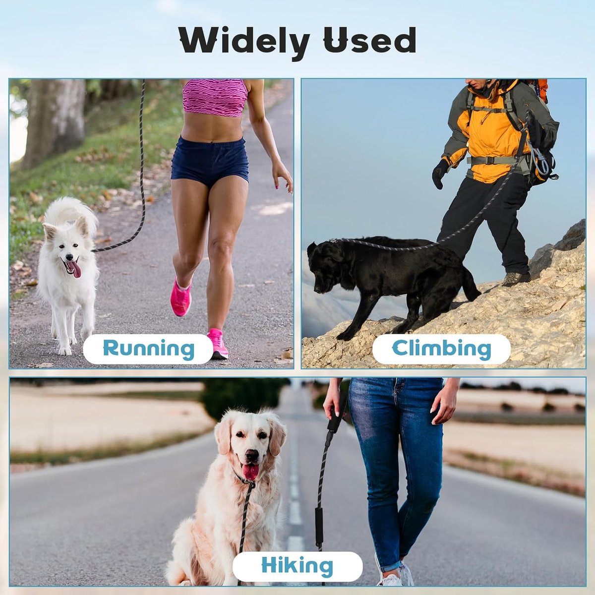 1.8m Long Dog Training Leash - Durable, tension-free polyester dog leash with two padded handles and reflective thread - For small and medium-sized dogs - Black
