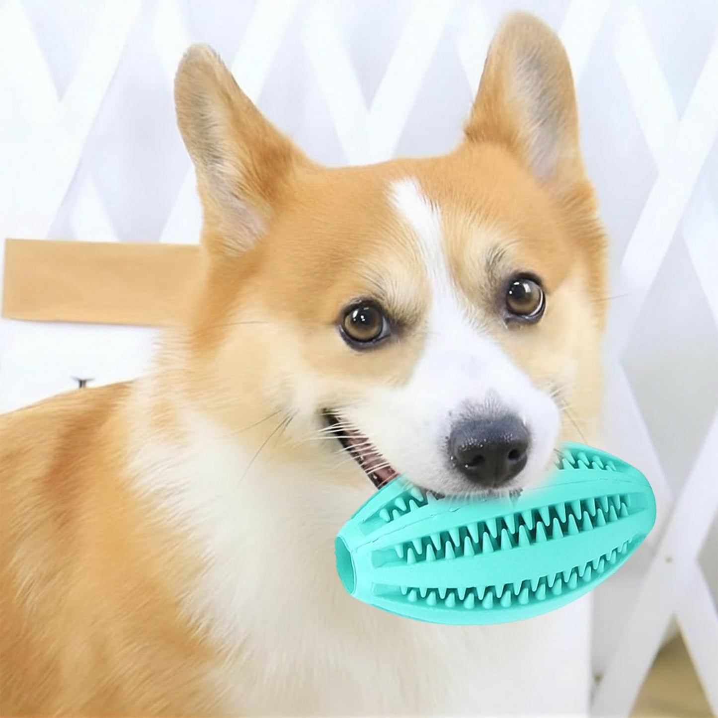 Pet Toy Ball Dog Puzzle Toy 1 Pack Interactive Dog Toys for Dispensing Puppy Toys for Teething Puppy for Teeth/Slow Feeder/Iq Training/Playing, Yellow Light blue