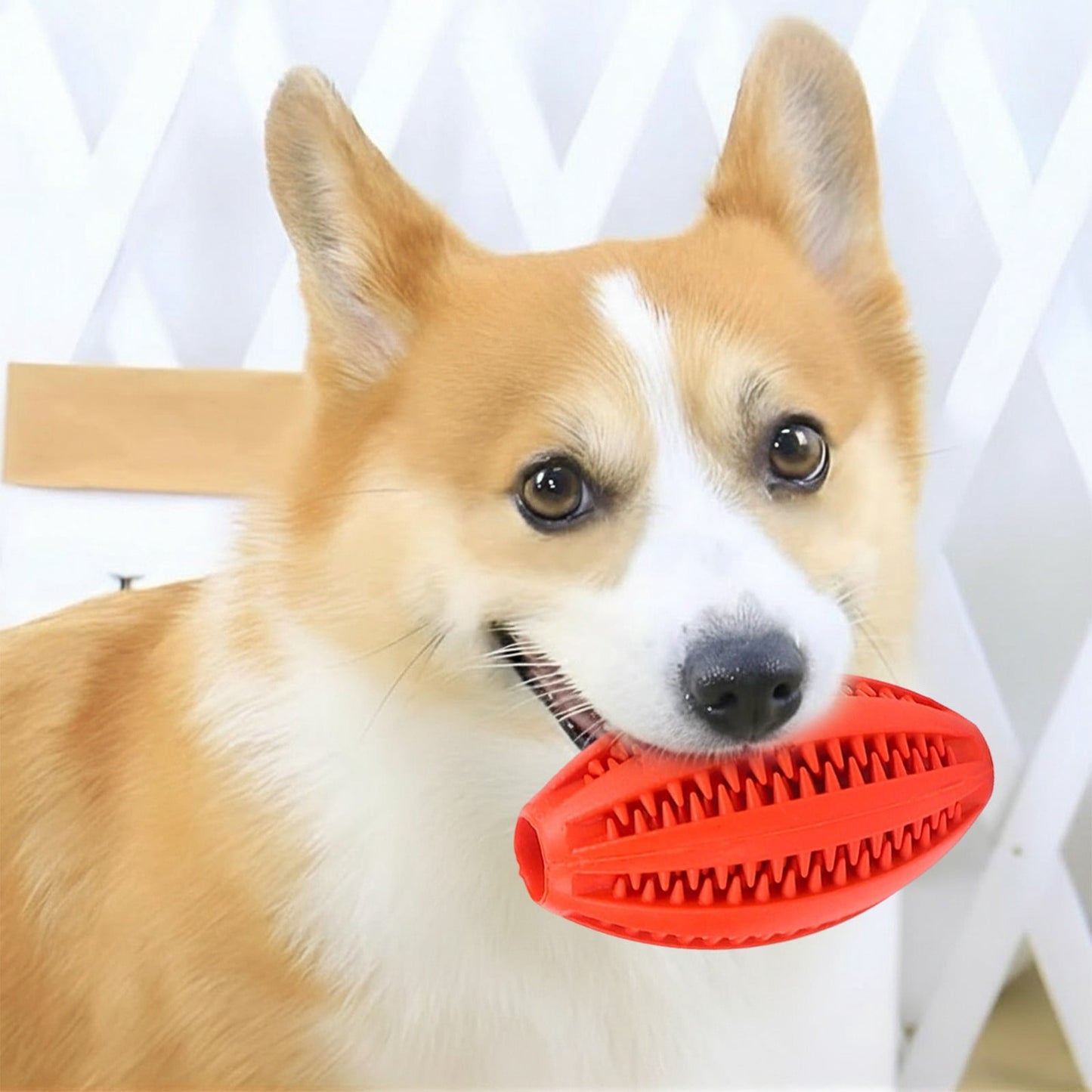 Pet Toy Ball Dog Puzzle Toy 1 Pack Interactive Dog Toys for Dispensing Puppy Toys for Teething Puppy for Teeth/Slow Feeder/Iq Training/Playing, Yellow Red