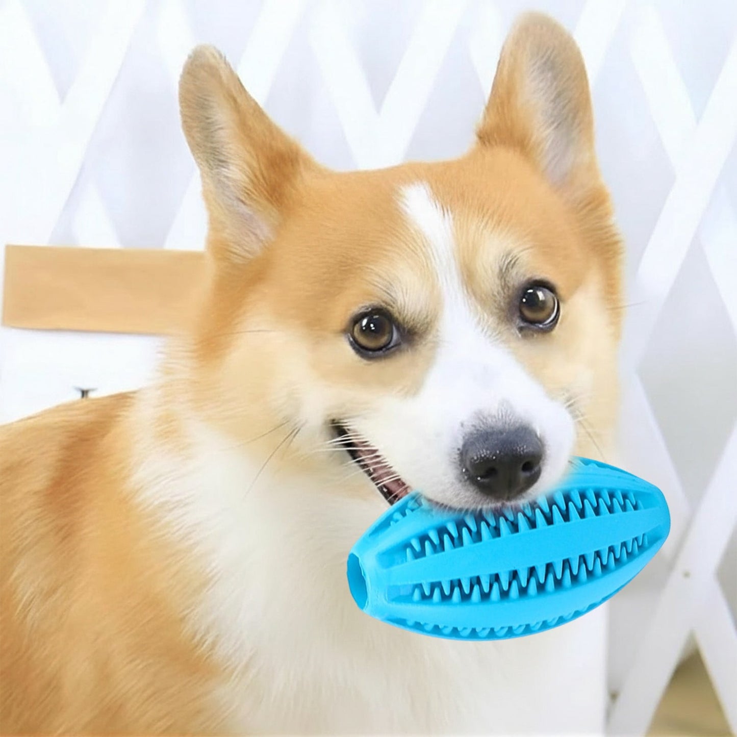 Pet Toy Ball Dog Puzzle Toy 1 Pack Interactive Dog Toys for Dispensing Puppy Toys for Teething Puppy for Teeth/Slow Feeder/Iq Training/Playing, Yellow Sky Blue