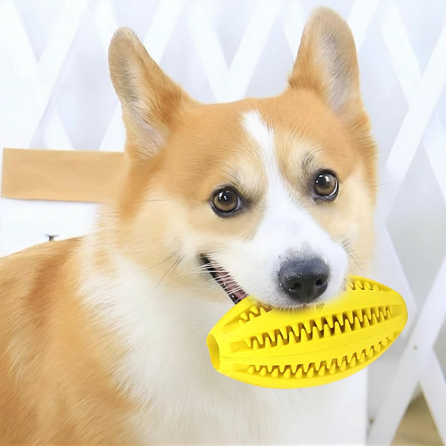 Pet Toy Ball Dog Puzzle Toy 1 Pack Interactive Dog Toys for Dispensing Puppy Toys for Teething Puppy for Teeth/Slow Feeder/Iq Training/Playing Yellow