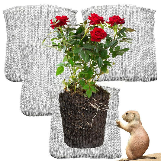 4-Piece  Stainless Steel Plant Root Guard Baskets: Protects Plants, Flowers & Vegetables from Gophers & Voles - Flexible & Easy to Install - Silver, Indoor/Outdoor Use（12*6inch）