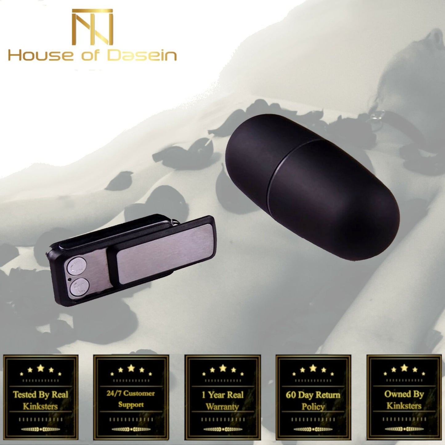 House Of Dasein Wireless Jump Egg Vibrating Remote Mini Vibrator Bondage Kink Bdsm