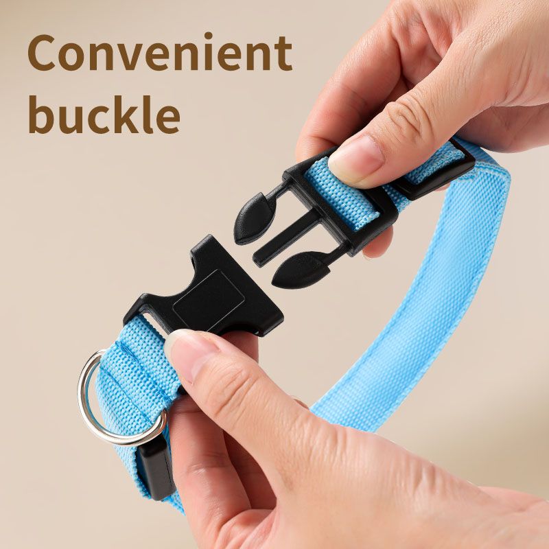 LED Light-Up Pet Collar, Large, Adjustable, USB Rechargeable, for Cats and Dogs, Nighttime Anti-Lost– Blue