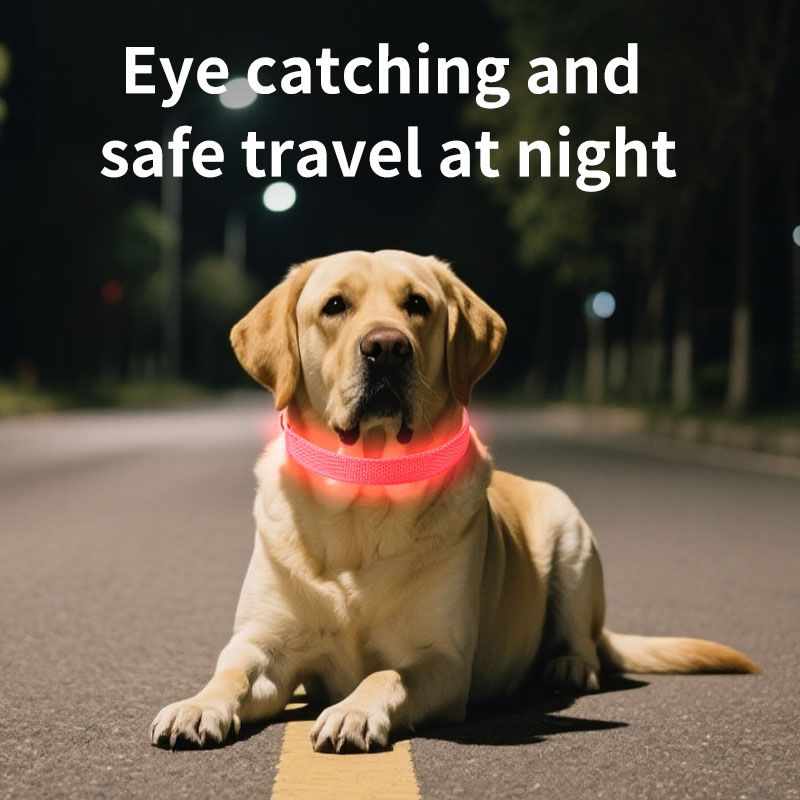 Pet LED Light-Up Collar, Large, Adjustable, USB Rechargeable, for Cats and Dogs, Nighttime Anti-Lost - Green