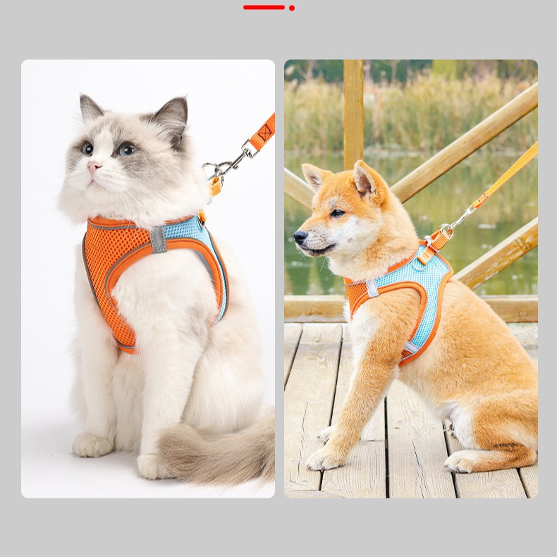 Breathable Reflective Pet Harness Set: Vest-Style Dog Harness + Leash - Orange and Blue-M