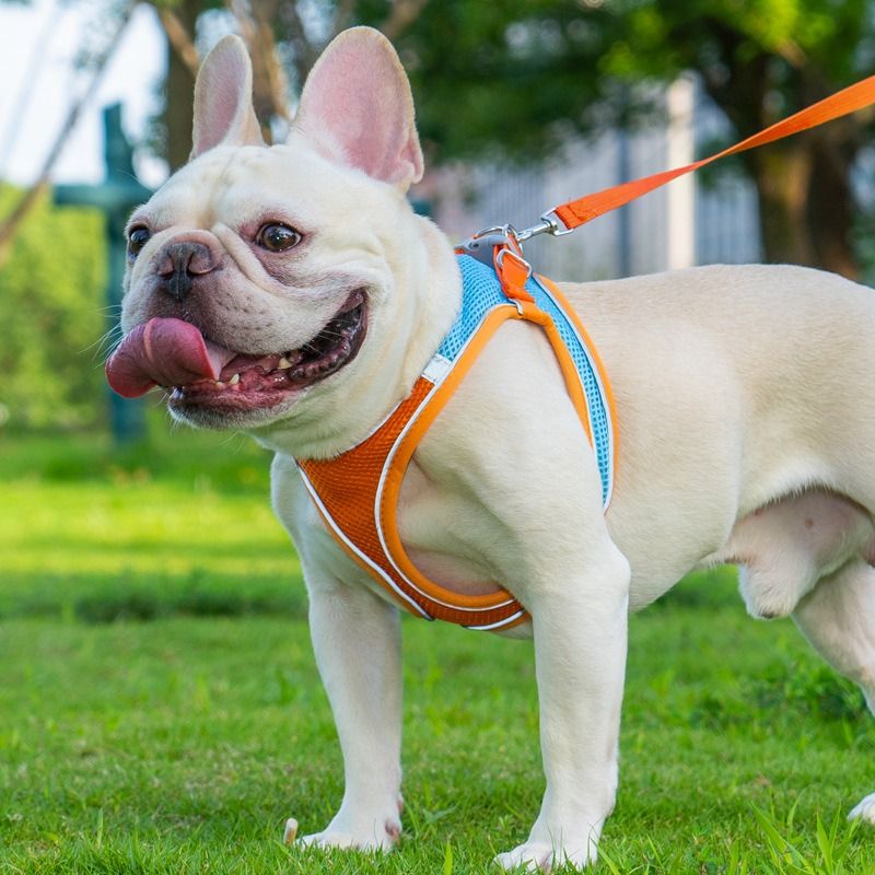 Breathable Reflective Pet Harness Set: Vest-Style Dog Harness + Leash - Pink and Blue-S