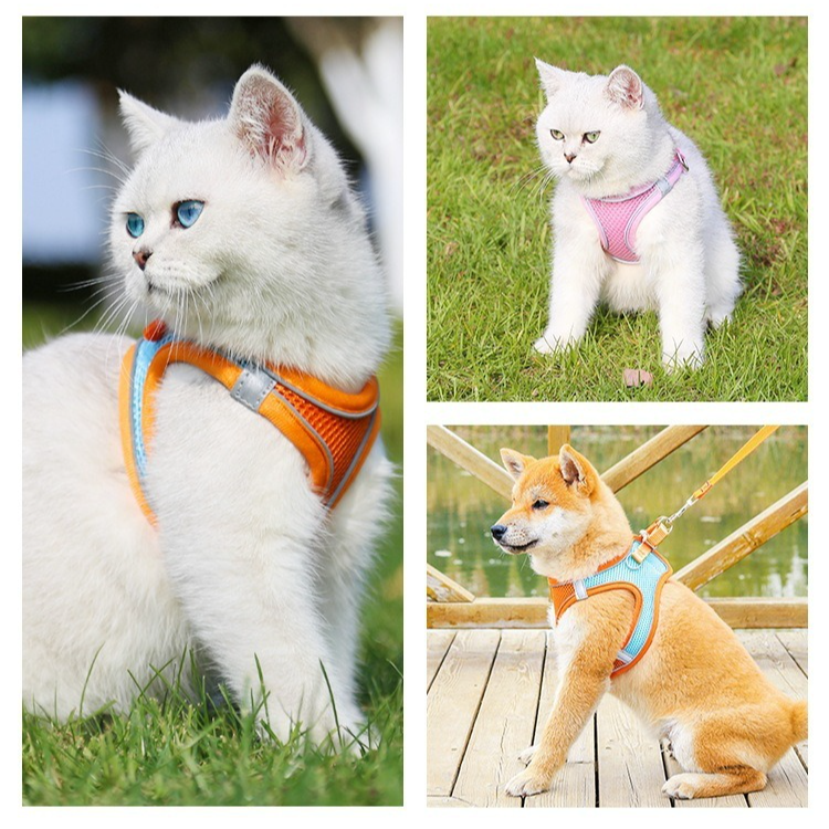 Breathable Reflective Pet Harness Set: Vest-Style Dog Harness + Leash - Pink and Blue-XXS