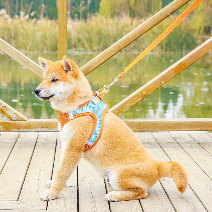 Breathable Reflective Pet Harness Set: Vest-Style Dog Harness + Leash - Black-XS