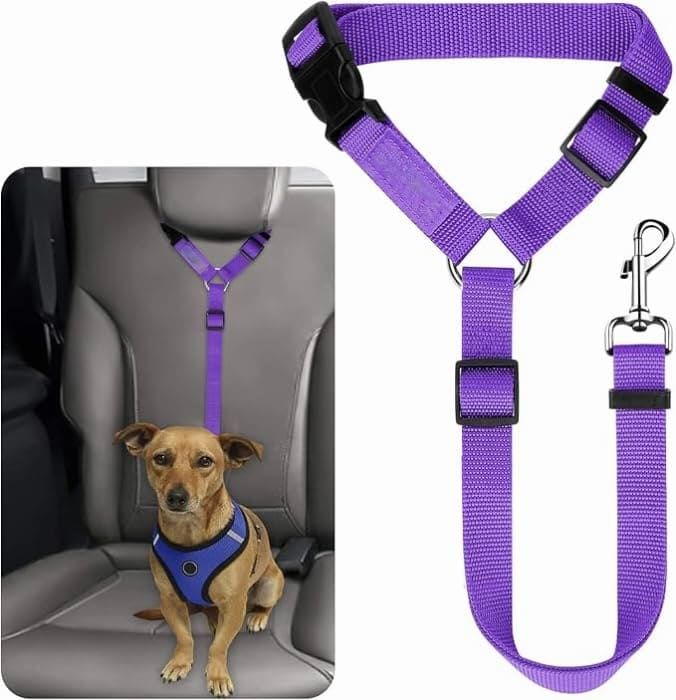 Protect Your Pet on the Road: 2-in-1 Adjustable Dog Car Safety Tether and Leash, 360° Rotating Hook for Cars and SUVs, Secure Your Cat or Dog During Travel (Black)