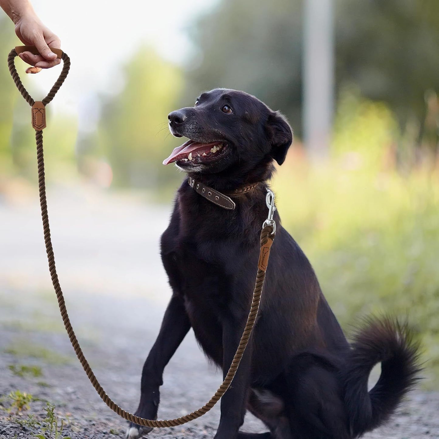 Classic Braided Dog Leash with Genuine Leather Handle and Heavy Duty Metal Clasp for Outdoor Walking, Training, and Control of Medium to Large Breeds (183cm, Brown)