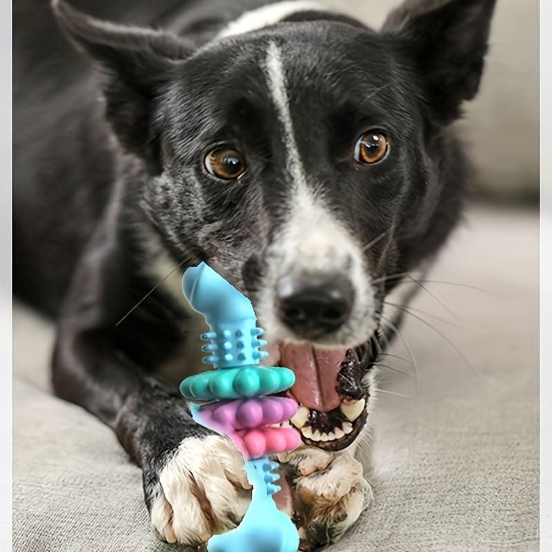 Durable Dog Chew Toy for Aggressive Chewers – Fun Bone-Shaped Dental Toy with Flower Ring Design, Ideal for Medium to Large Dogs, Great for Teeth Cleaning and Training Rewards (Pink)
