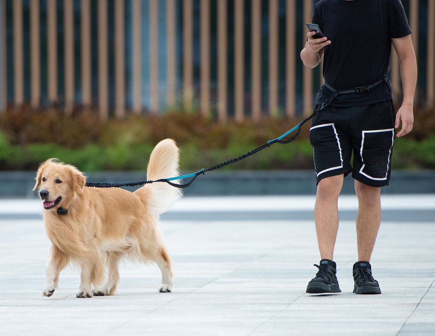 Hands-Free Dog Leash with Waist Belt and Storage Pouch, Shock-Absorbing Bungee Leash for Running, Walking, and Outdoor Adventures, Reflective Safety Design for Night Walks (Cyan)