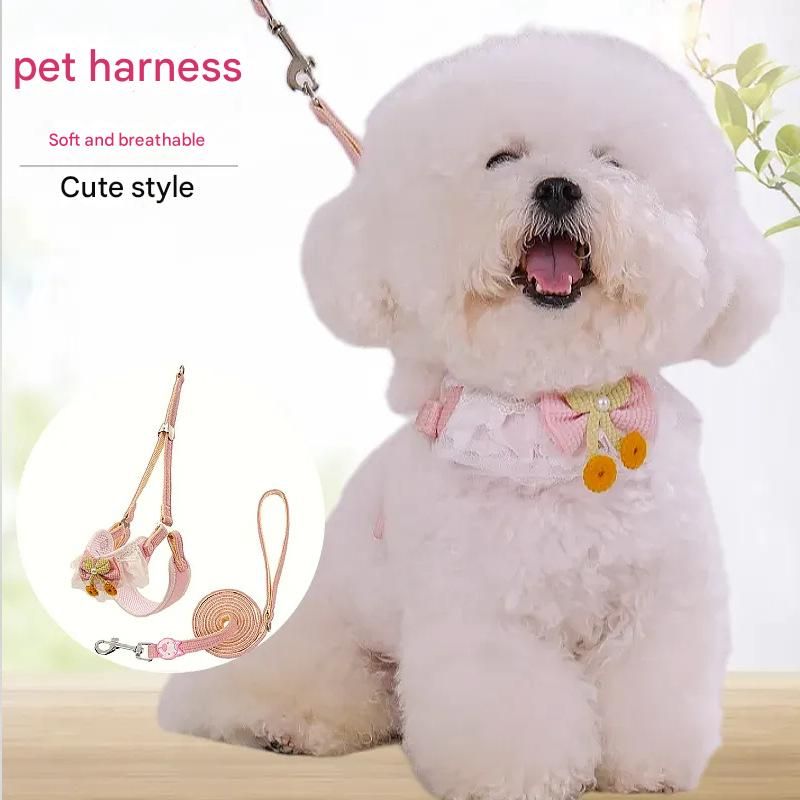 Orange-yellow Lace Y-Shaped Pet Harness and Leash Set - Breathable Mesh Vest for Small to Medium Dogs and Cats - Comfortable Walking Gear with 150cm Leash(Size:S)